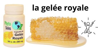 l'énergie avec la gelée royale